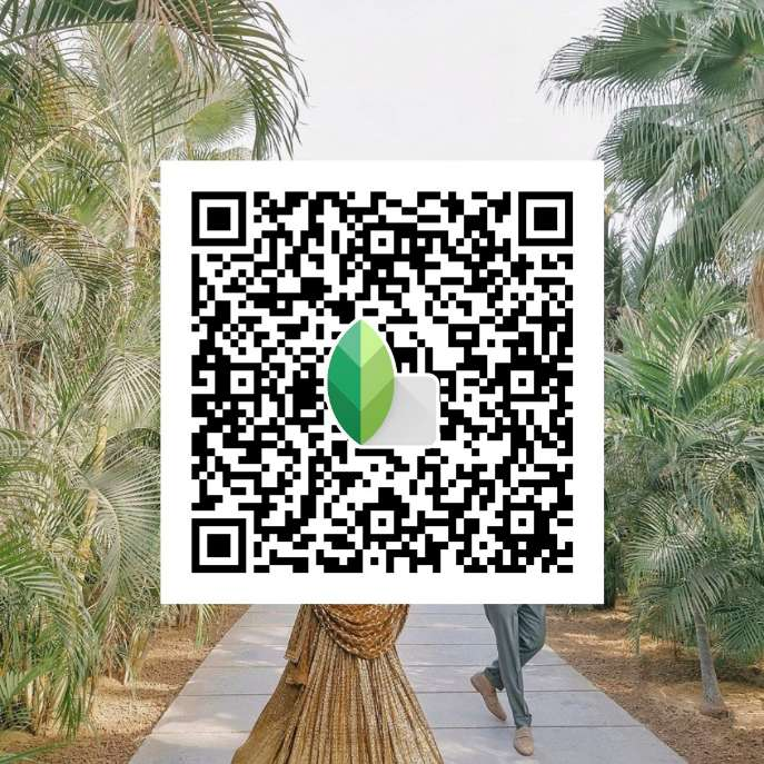 Top  Snapseed QR Codes Filters