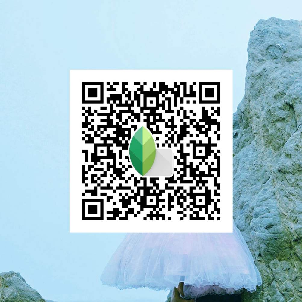 Top  Snapseed QR Codes Filters