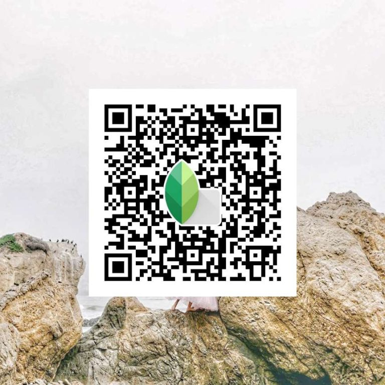 Top  Snapseed QR Codes Filters