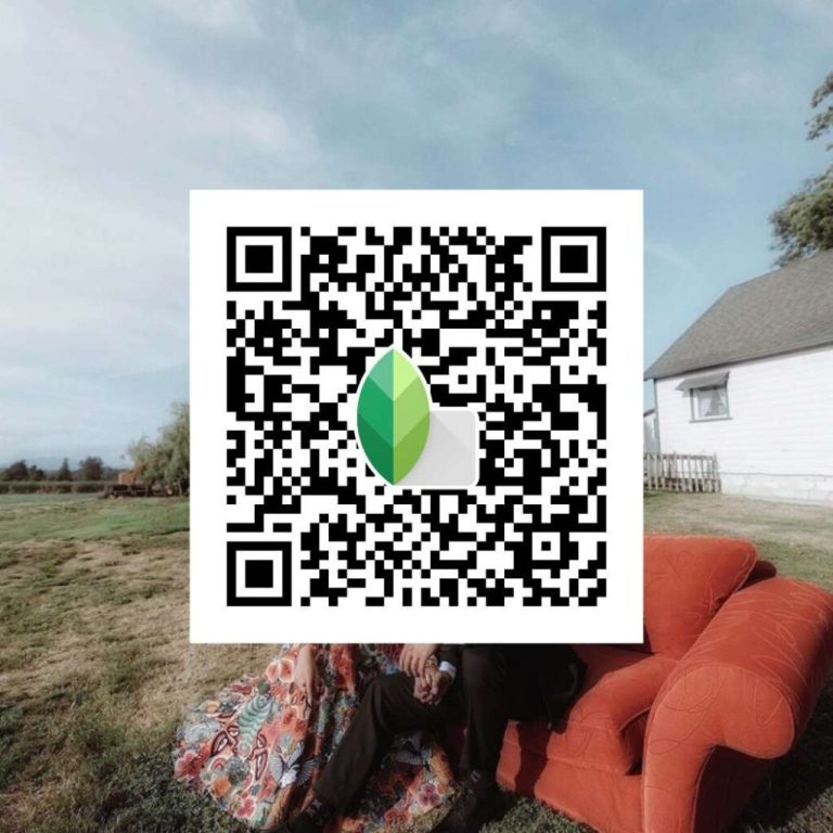 Top  Snapseed QR Codes Filters